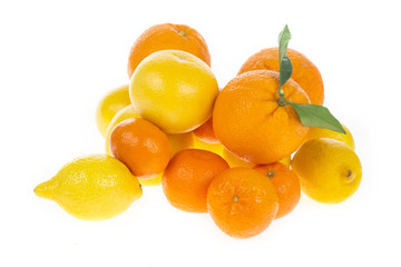 Citrus fresh fruit isolated on a white background