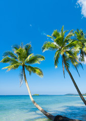 Fototapeta premium Serenity Shore Idylliczna wyspa