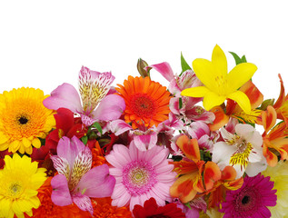 background of the flowers