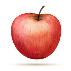Watercolor Apple
