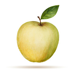 Watercolor Apple