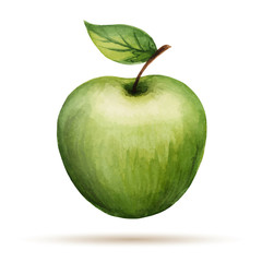 Watercolor Apple