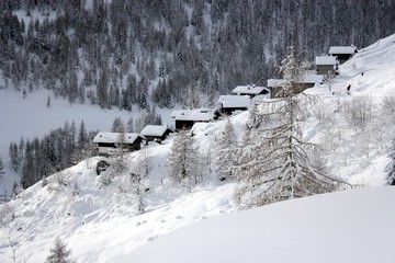 winter