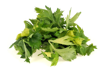 Feuilles de céleri branche en vrac