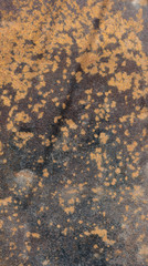 Grunge texture