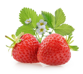 Strawberries isolated