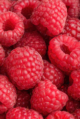 raspberries background