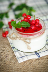 sweet  yogurt with jam and red currant