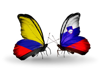 Two butterflies with flags Columbia and Slovenia