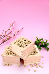 行事 節分 煎り大豆