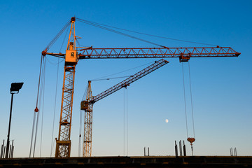Fototapeta premium Crane