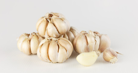 group of fresh garlic on white