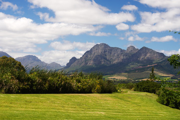 South Africa vineyard valley landscape