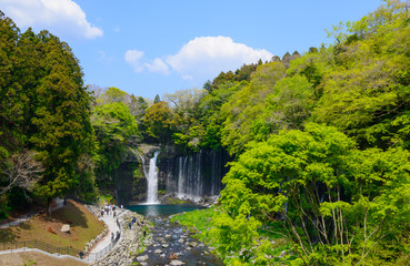 Fototapeta na wymiar Shiraito Falls in Fujinomiya, Shizuoka, Japan