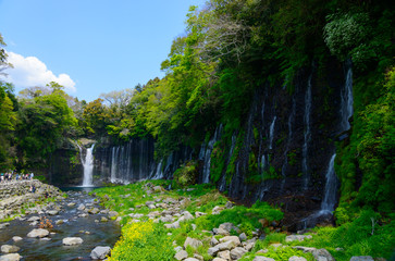 Shiraito Falls in Fujinomiya, Shizuoka, Japan