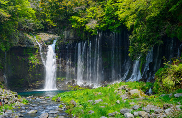 Shiraito Falls in Fujinomiya, Shizuoka, Japan
