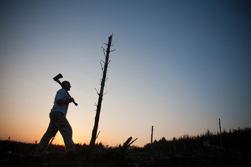 man with axe walks past last standing tree at sunset