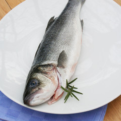 branzino fresco su piatto