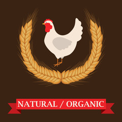 Farm design, vector illustration.