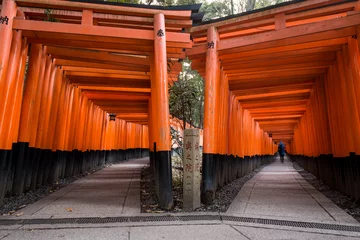 Foto op Canvas Fushimi Inari Shrine © Joshua Davenport