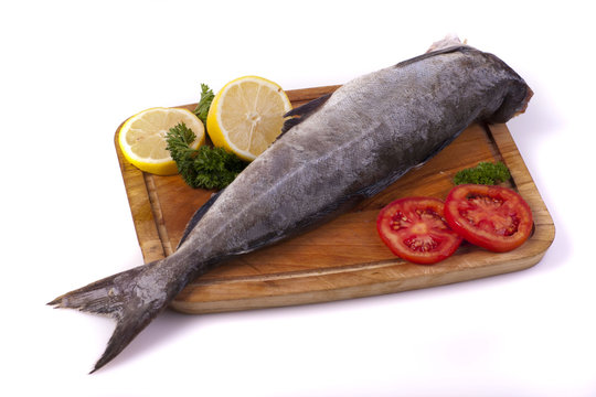 Coalfish
