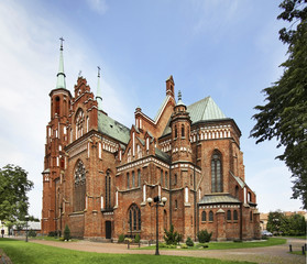 Cathedral of the Immaculate Conception of the Virgin Mary - obrazy, fototapety, plakaty
