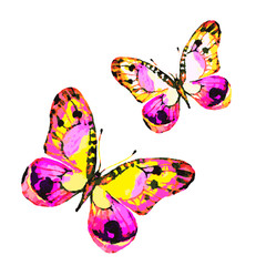 butterflies design