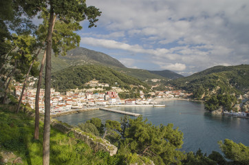 Naklejka premium parga trees pines