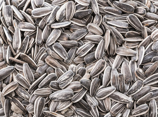 sunflower seeds