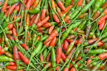 Fresh Chili Peppers