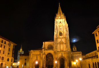 Fototapeta na wymiar View of the Cathedral of Oviedo at night in Asturias - Spain