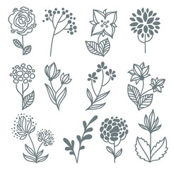 vector hand drawn flowers collection