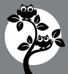 silhouette of two owls in a tree