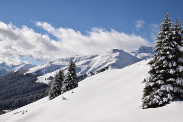 Fototapeta na wymiar Schweizer Alpenwelt