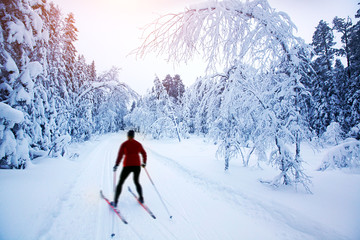 .Cross-country skiing in Sweden