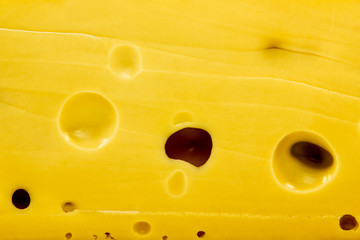Background of cheese with large holes