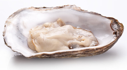 Raw oyster on a whte background.