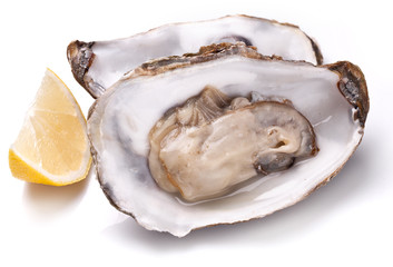 Raw oyster and lemon on a whte background.