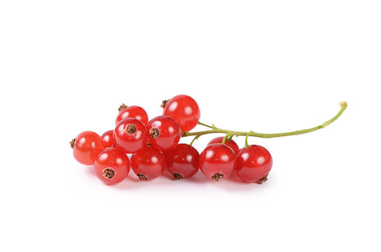 Red Currant Isolated On White Background