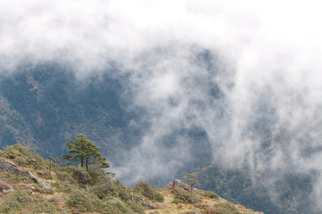 Mountain and tree on a background of clouds in Nepal