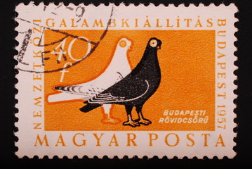 Hungary : Postage stampimage of two doves black and white
