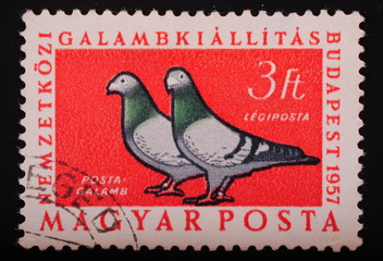 Hungari 1957: Postage stamp image of two doves