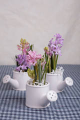 hyacinth