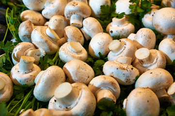 Peeled mushrooms among the greenery