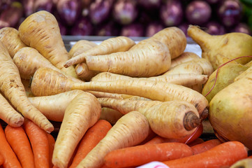 Winter white radish and carrots