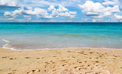 beach and tropical sea