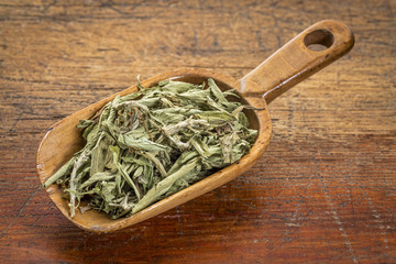 stevia dried leaves