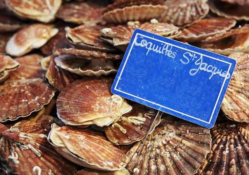 coquilles st Jaques