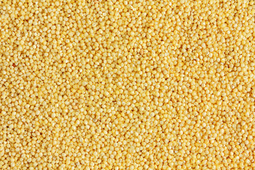 Millet seeds background