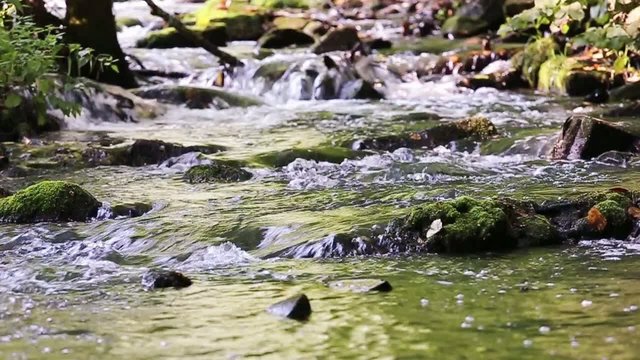 Small brook
